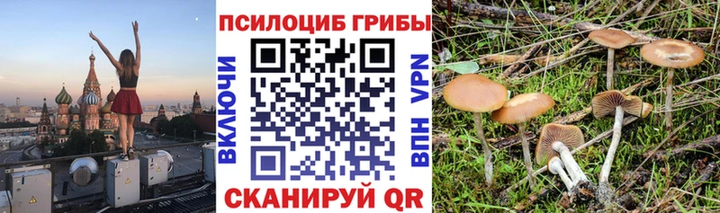 Галлюциногенные грибы мухоморы  omg   Семёнов 